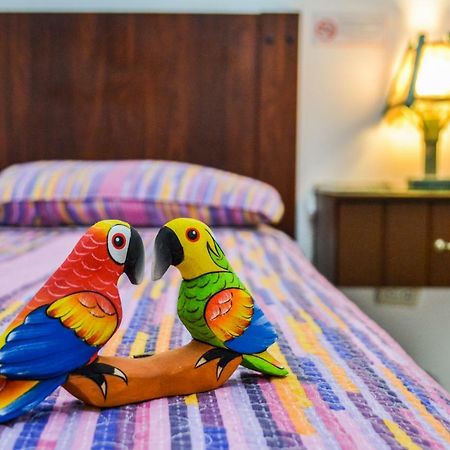 Hotel Boutique El Escalon グアヤキル エクステリア 写真