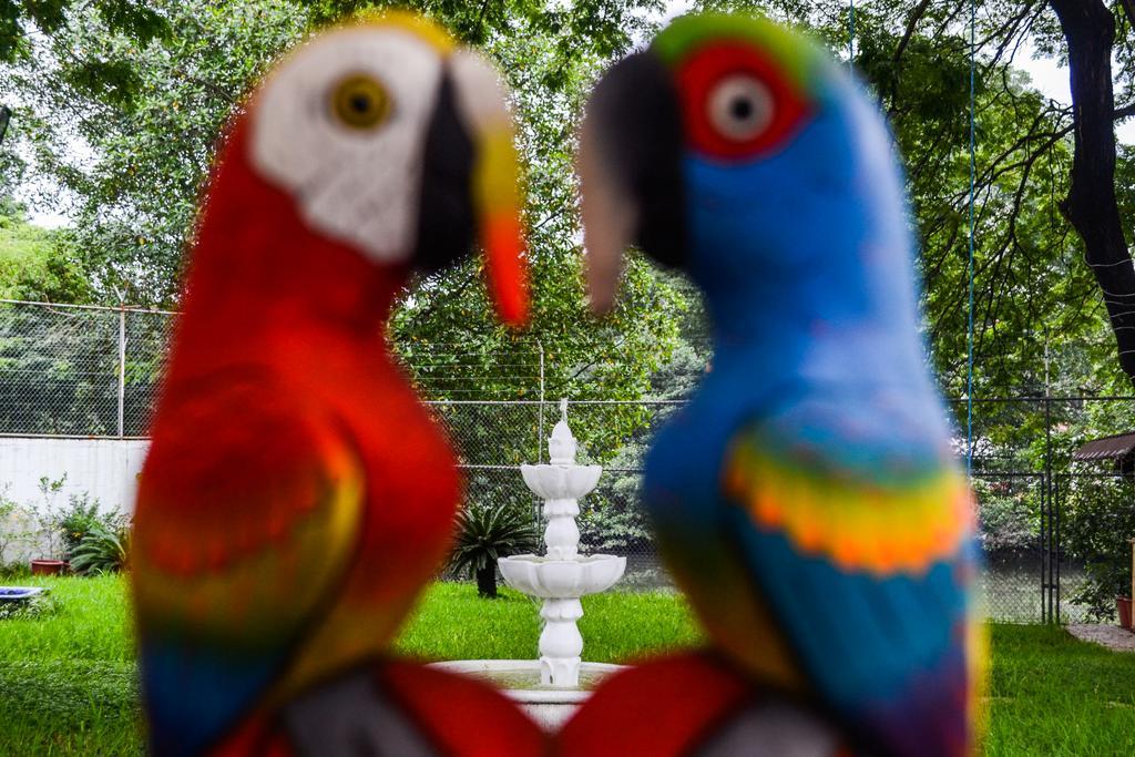 Hotel Boutique El Escalon グアヤキル エクステリア 写真