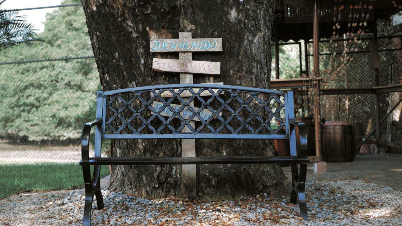 Hotel Boutique El Escalon グアヤキル エクステリア 写真